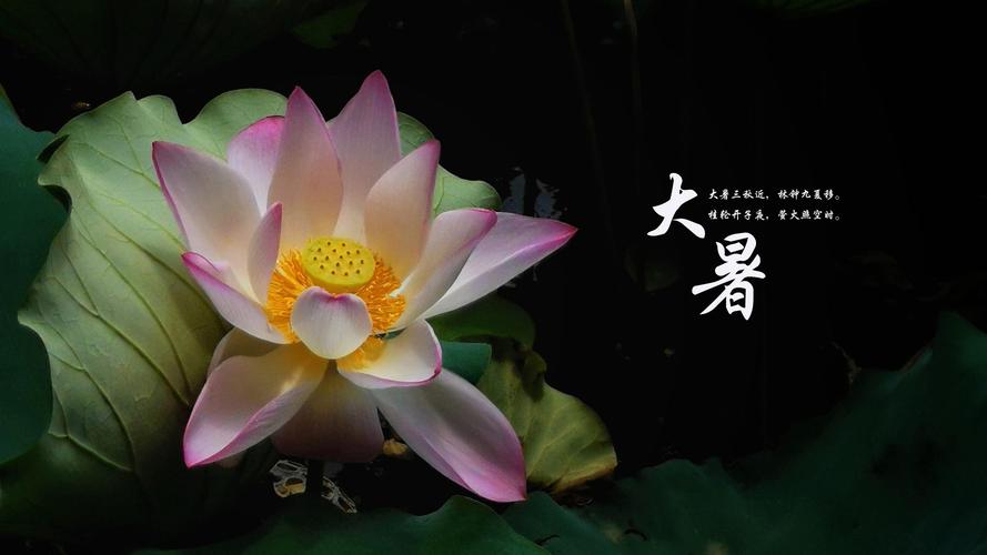 大暑民间习俗吃什么？怎么吃出健康来