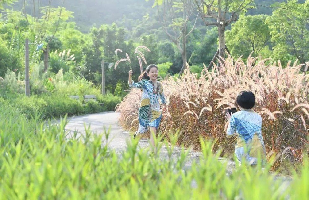 齊善鴻講《道德經》第八十章：「復歸田園」的理想（上）