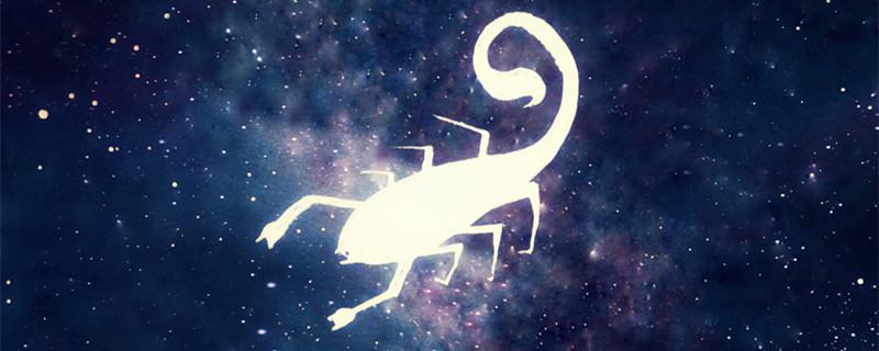 天蝎座女和哪个星座男最配,天蝎女和摩羯男很配